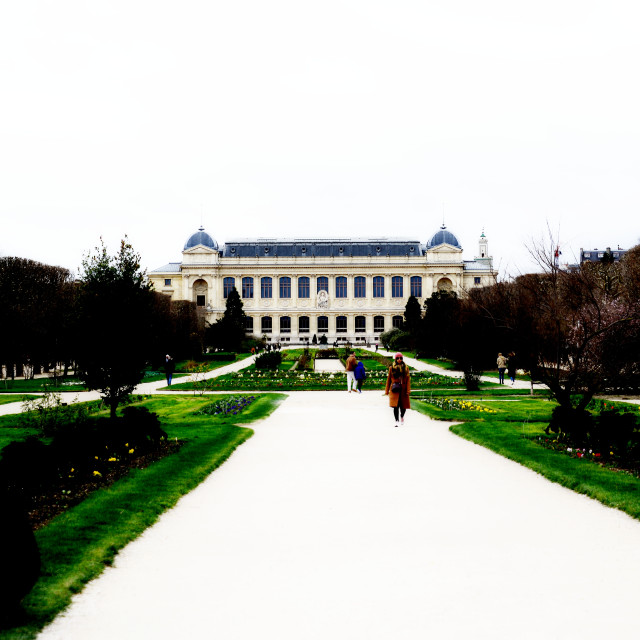 "nature museum - Paris" stock image