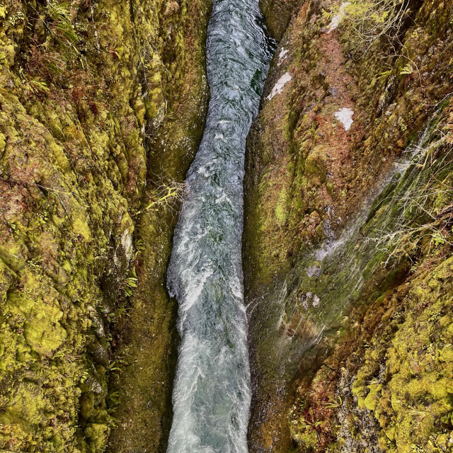 "Veins of the Earth" stock image