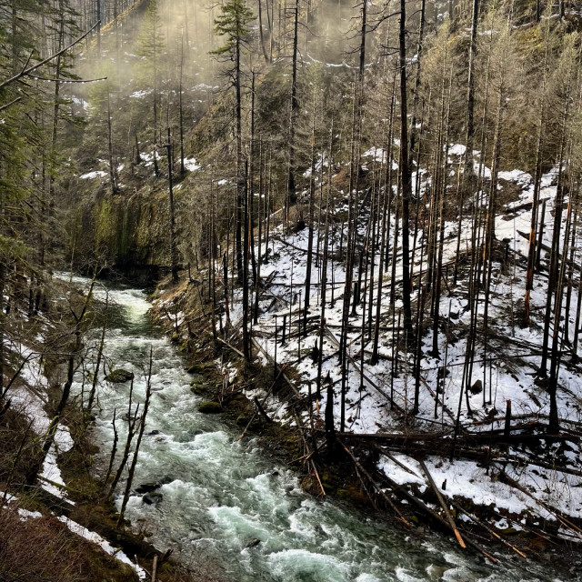 "Morning Rapids" stock image