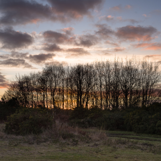 "Heathland Sunset" stock image