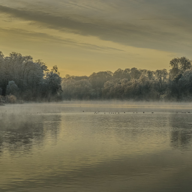 "Early Morning At Fonthill Lake" stock image