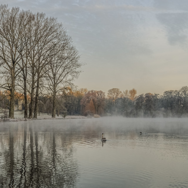 "Misty Morning On Fonthill Lake" stock image