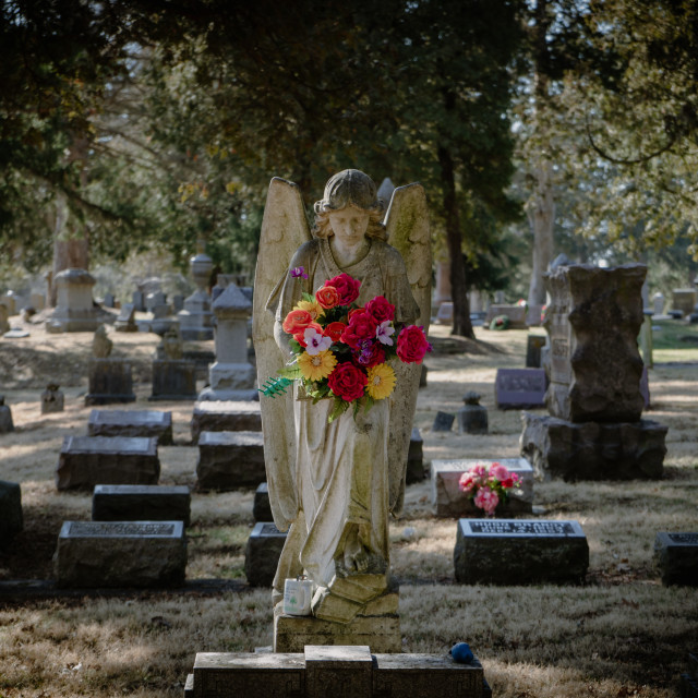 "The Flowered Angel" by BTG Photographer - $9.27 "The Flowered Angel" stock image
