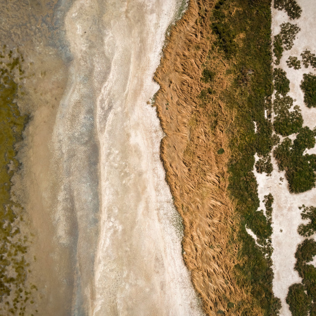 "Estuary Edge" by Sam Blight - $12.09 "Estuary Edge" stock image