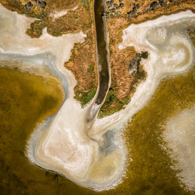 "Rivermouth Pattern" by Sam Blight - $12.45 "Rivermouth Pattern" stock image