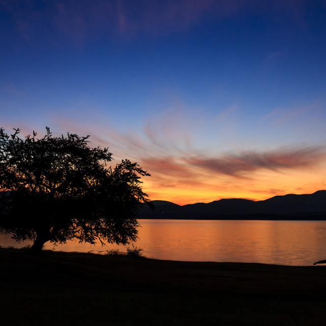 "Tree at dawn on the Valerio Trujano dam" by Expvisual Filmmaking and Photography SAS de CV - $9.88 "Tree at dawn on the Valerio Trujano dam" stock image