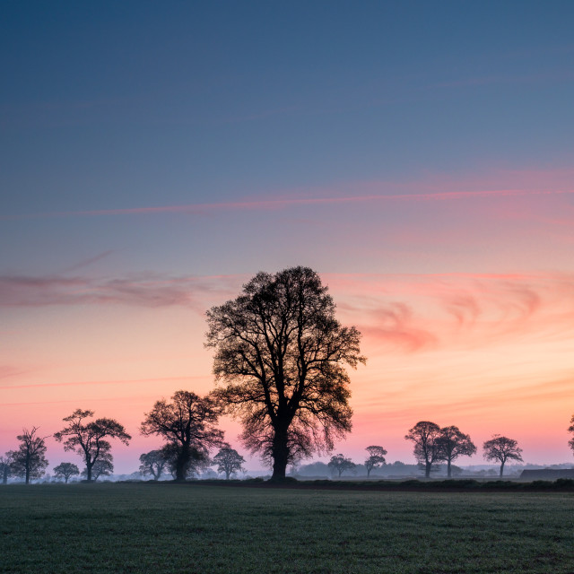 "Sunrise Over Fields" stock image