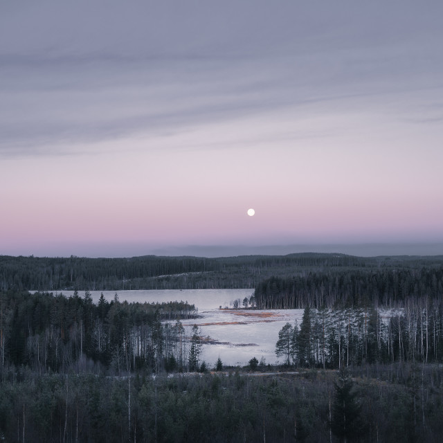 "Moonlight over the forest hills" stock image