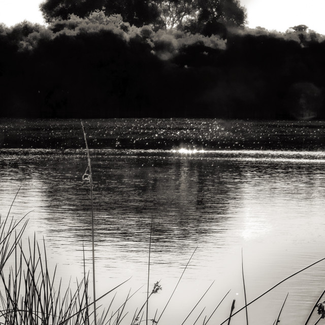 "Sparkle on the Lake" by Sam Blight - $12.45 "Sparkle on the Lake" stock image