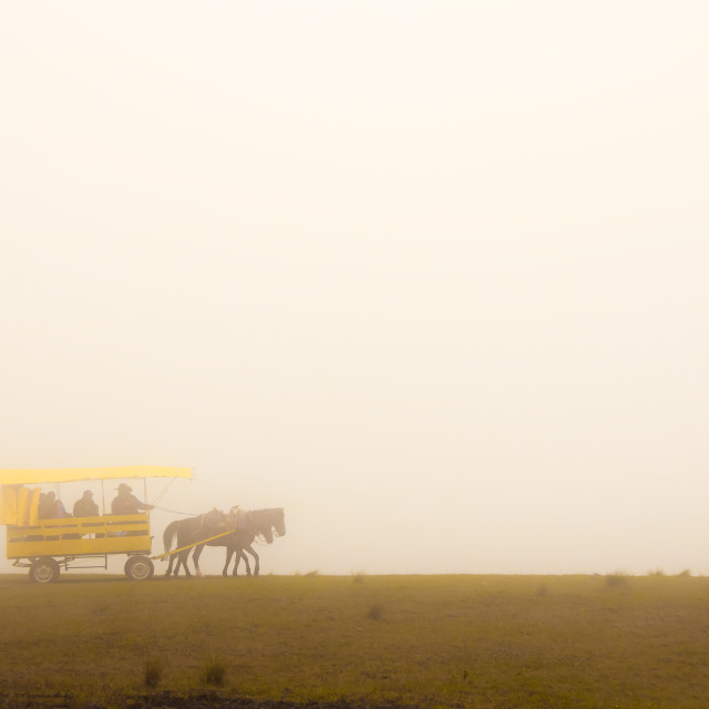 "Carriage in the mist" by Expvisual Filmmaking and Photography SAS de CV - $3.76 "Carriage in the mist" stock image