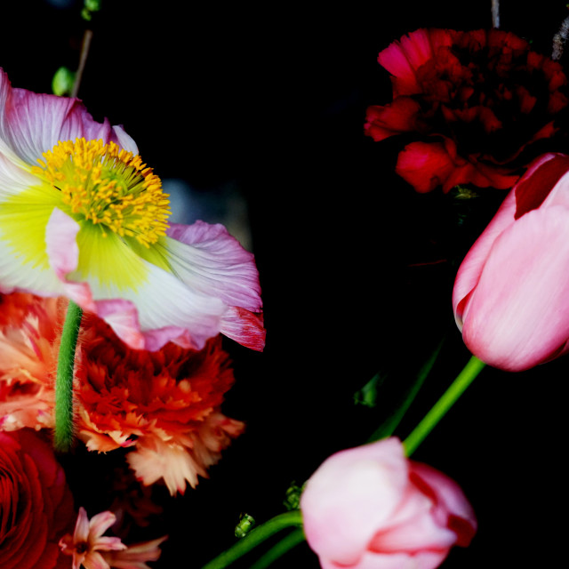 "Flowers mix" by Amit Mendelsohn - $48.98 "Flowers mix" stock image
