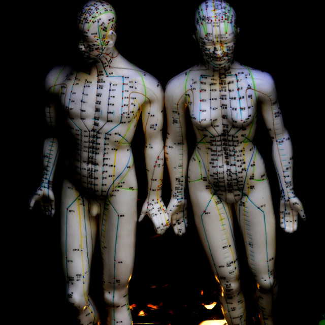 "Chinese medicine body map" by Amit Mendelsohn - $48.98 "Chinese medicine body map" stock image