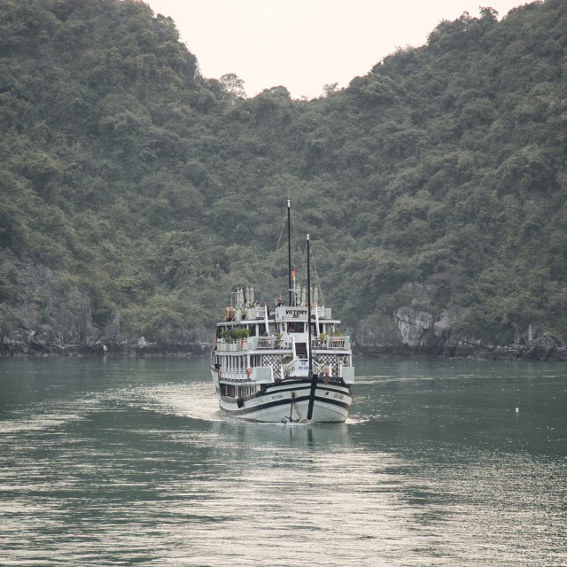 "Cruising Halong Bay" stock image