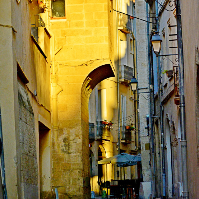 "a street in Montpelier" by Amit Mendelsohn - $49.05 "a street in Montpelier" stock image