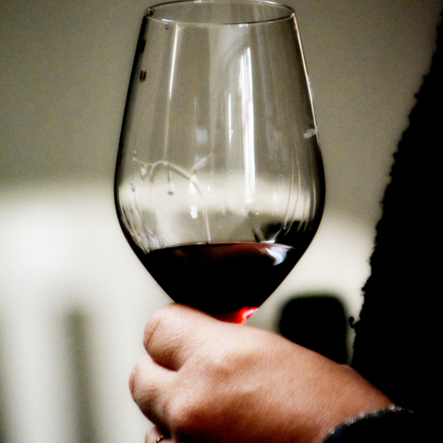 "Wine taster" by Amit Mendelsohn - $49.05 "Wine taster" stock image