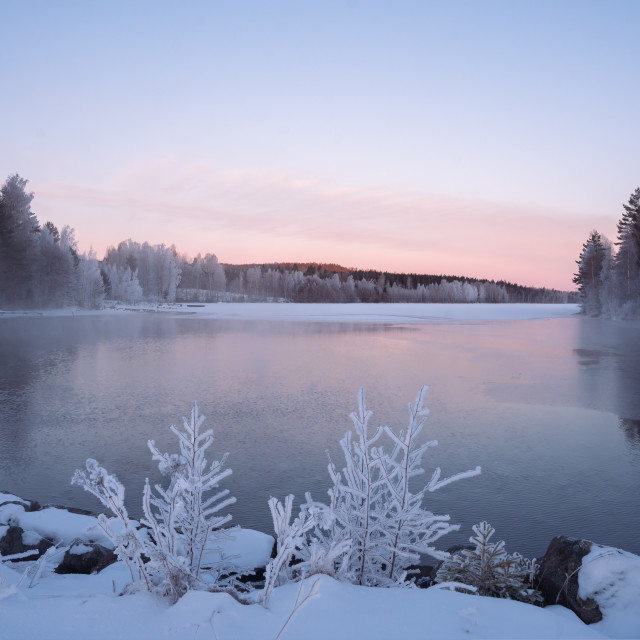 "Mid-season landscape" stock image