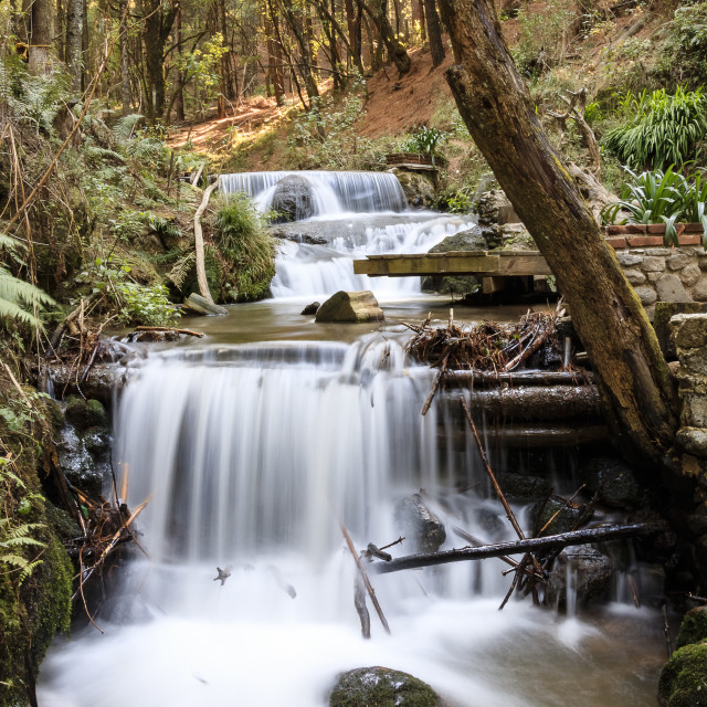 "Catidey Waterfalls I" by Expvisual Filmmaking and Photography SAS de CV - $3.76 "Catidey Waterfalls I" stock image