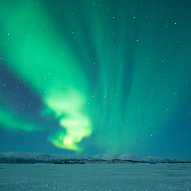 "Northern Lights over Lake Torneträsk, Abisko, Arctic Sweden" by Kat Lawman - $37.04 "Northern Lights over Lake Torneträsk, Abisko, Arctic Sweden" stock image
