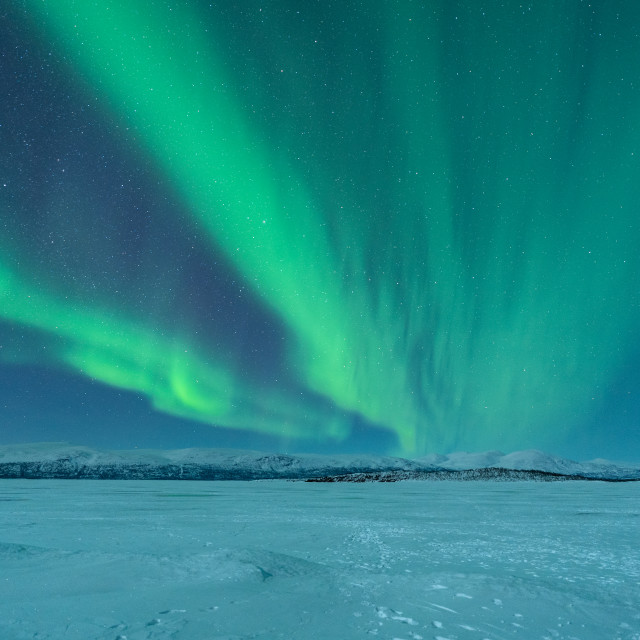 "Northern Lights over Lake Torneträsk, Abisko, Arctic Sweden" by Kat Lawman - $37.04 "Northern Lights over Lake Torneträsk, Abisko, Arctic Sweden" stock image