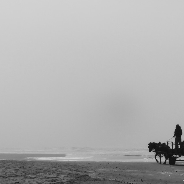 "Cabo Polonio - Uruguay" stock image