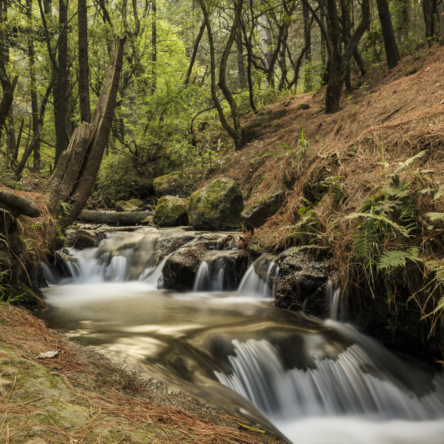 "River in San José de Las Manzanas IV" by Expvisual Filmmaking and Photography SAS de CV - $1.25 "River in San José de Las Manzanas IV" stock image
