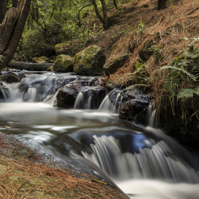 "River in San José de las Manzanas III" by Expvisual Filmmaking and Photography SAS de CV - $12.35 "River in San José de las Manzanas III" stock image