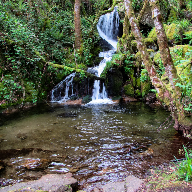 "Waterfall, Galicia" stock image