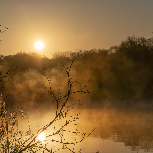 "Selbrigg Pond Sunrise" stock image