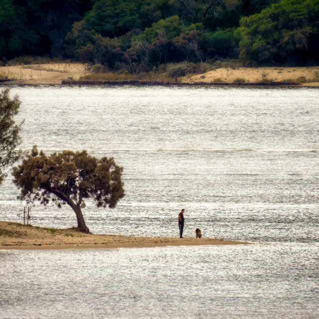 "Man, Dog and River" by Sam Blight - $12.45 "Man, Dog and River" stock image
