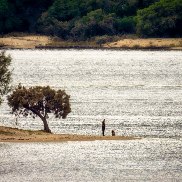 "Man, Dog and River" stock image