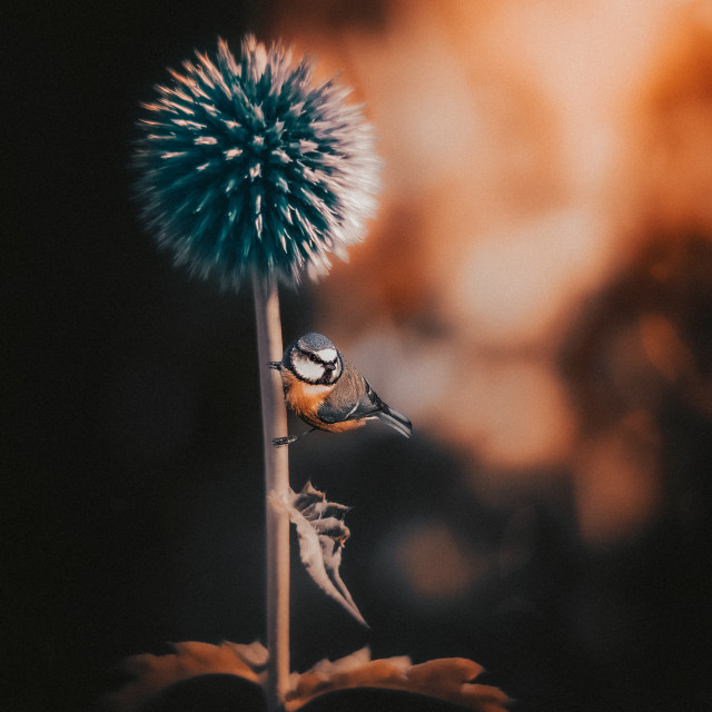 "" by It's Elliot Burns Photography - $15.69 "" stock image