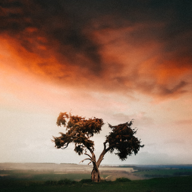 "" by It's Elliot Burns Photography - $15.69 "" stock image