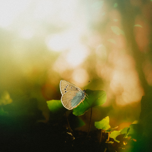 "" by It's Elliot Burns Photography - $15.69 "" stock image