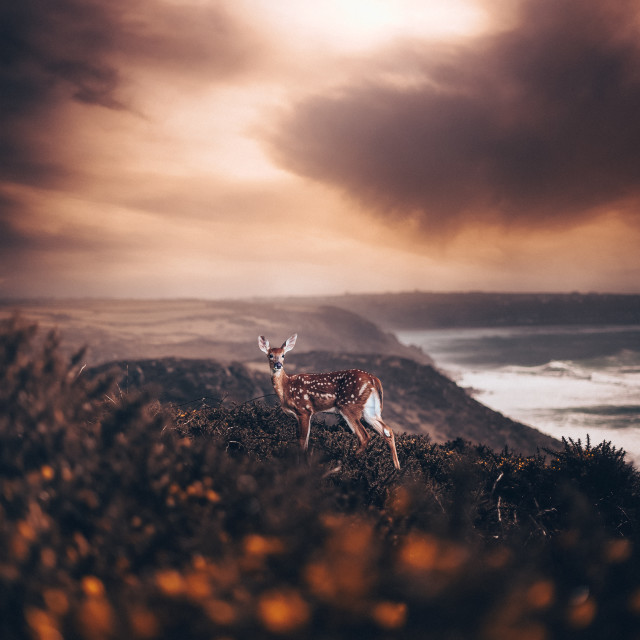 "" by It's Elliot Burns Photography - $15.69 "" stock image