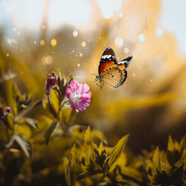 "" by It's Elliot Burns Photography - $15.69 "" stock image