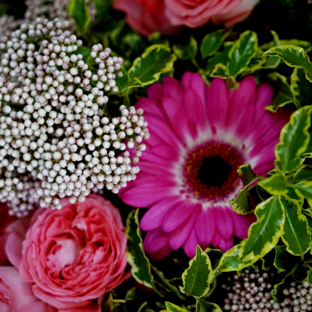 "Flowers arrangement" by Amit Mendelsohn - $49.42 "Flowers arrangement" stock image