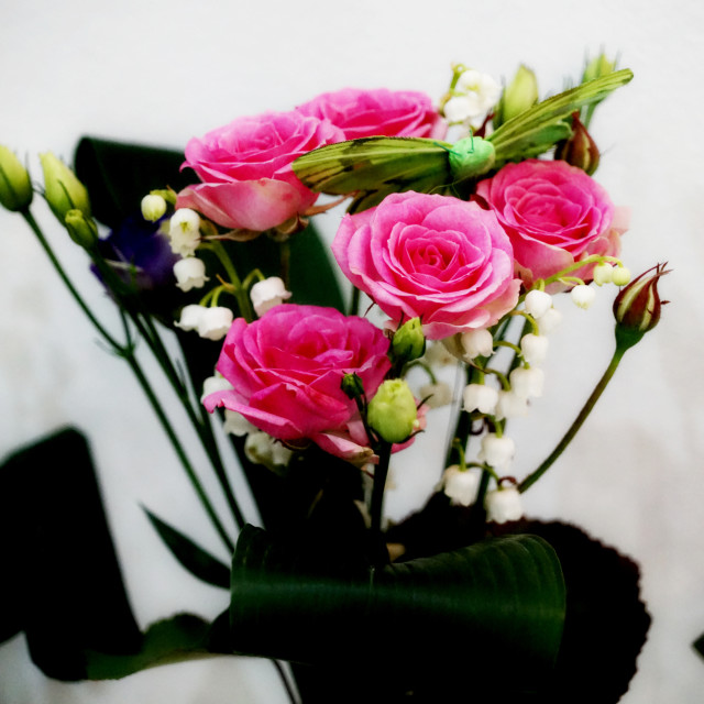 "Roses" by Amit Mendelsohn - $49.42 "Roses" stock image