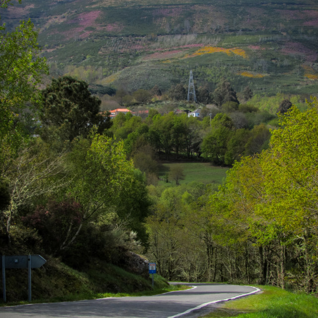 "Country road, Galicia" stock image