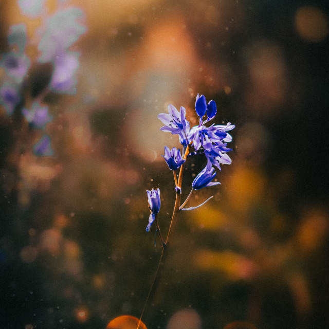 "" by It's Elliot Burns Photography - $15.69 "" stock image