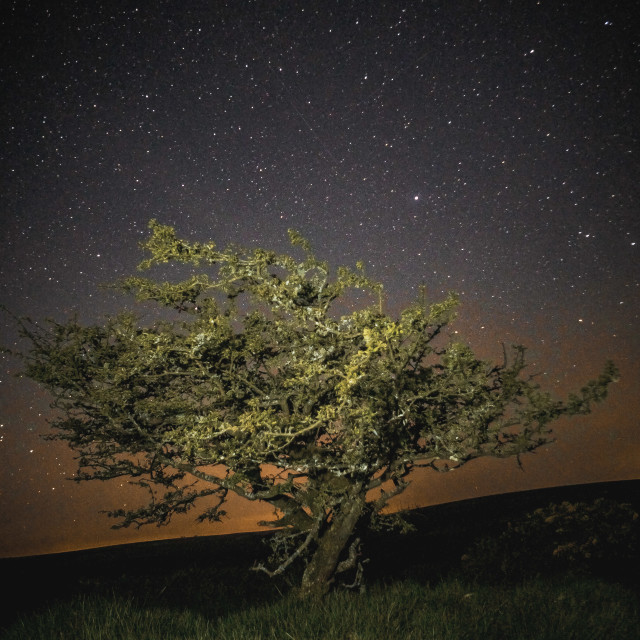 "Exmoor Nights" stock image