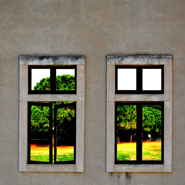 "the view" by Amit Mendelsohn - $49.42 "the view" stock image