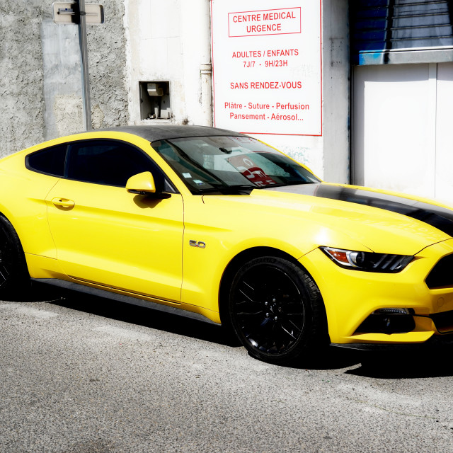 "mustang" by Amit Mendelsohn - $49.42 "mustang" stock image