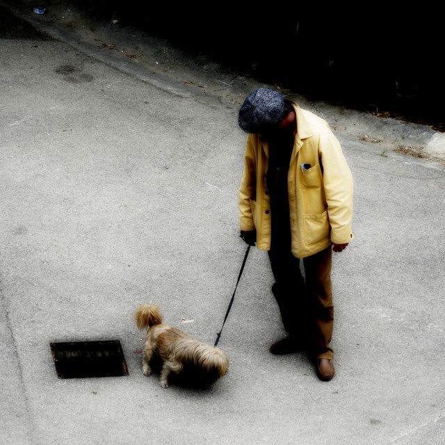"taking the dog for a walk" by Amit Mendelsohn - $49.42 "taking the dog for a walk" stock image