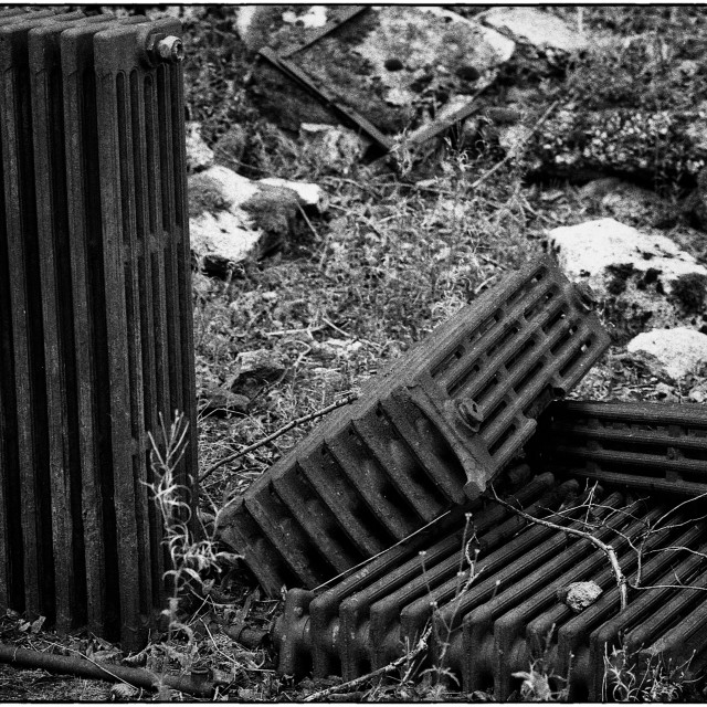 "EPSON scanner image" by Barry Gore - $12.55 "EPSON scanner image" stock image