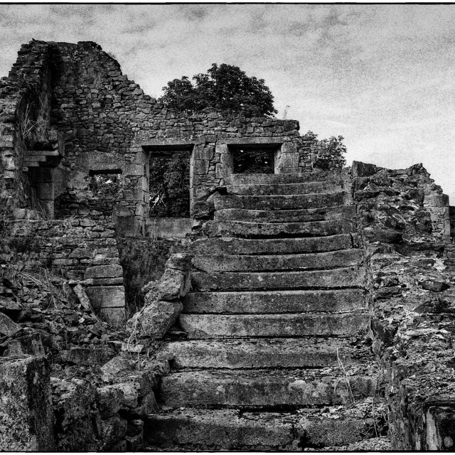 "EPSON scanner image" by Barry Gore - $12.55 "EPSON scanner image" stock image
