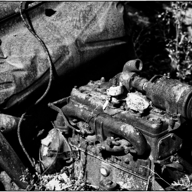 "EPSON scanner image" by Barry Gore - $12.55 "EPSON scanner image" stock image
