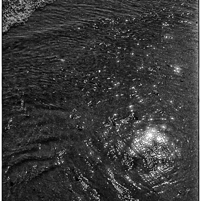 "EPSON scanner image" by Barry Gore - $12.55 "EPSON scanner image" stock image