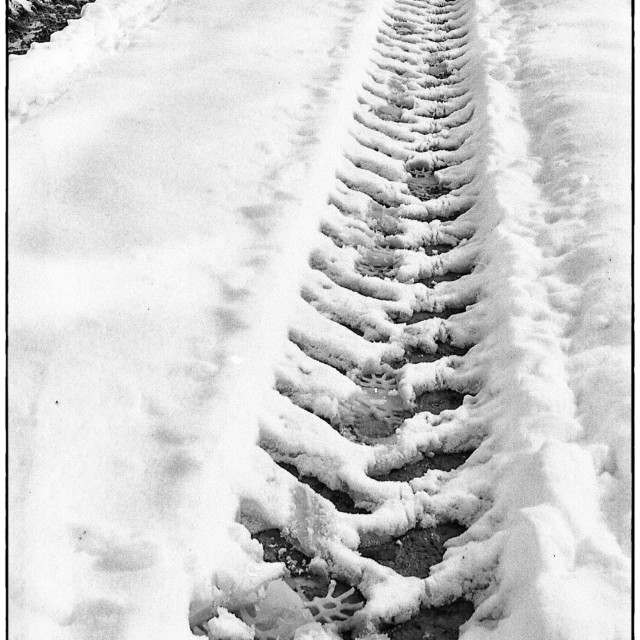 "EPSON scanner image" by Barry Gore - $12.55 "EPSON scanner image" stock image