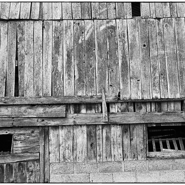 "EPSON scanner image" by Barry Gore - $12.55 "EPSON scanner image" stock image