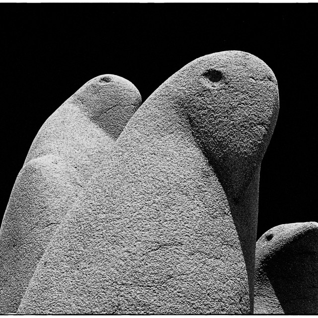 "EPSON scanner image" by Barry Gore - $12.55 "EPSON scanner image" stock image